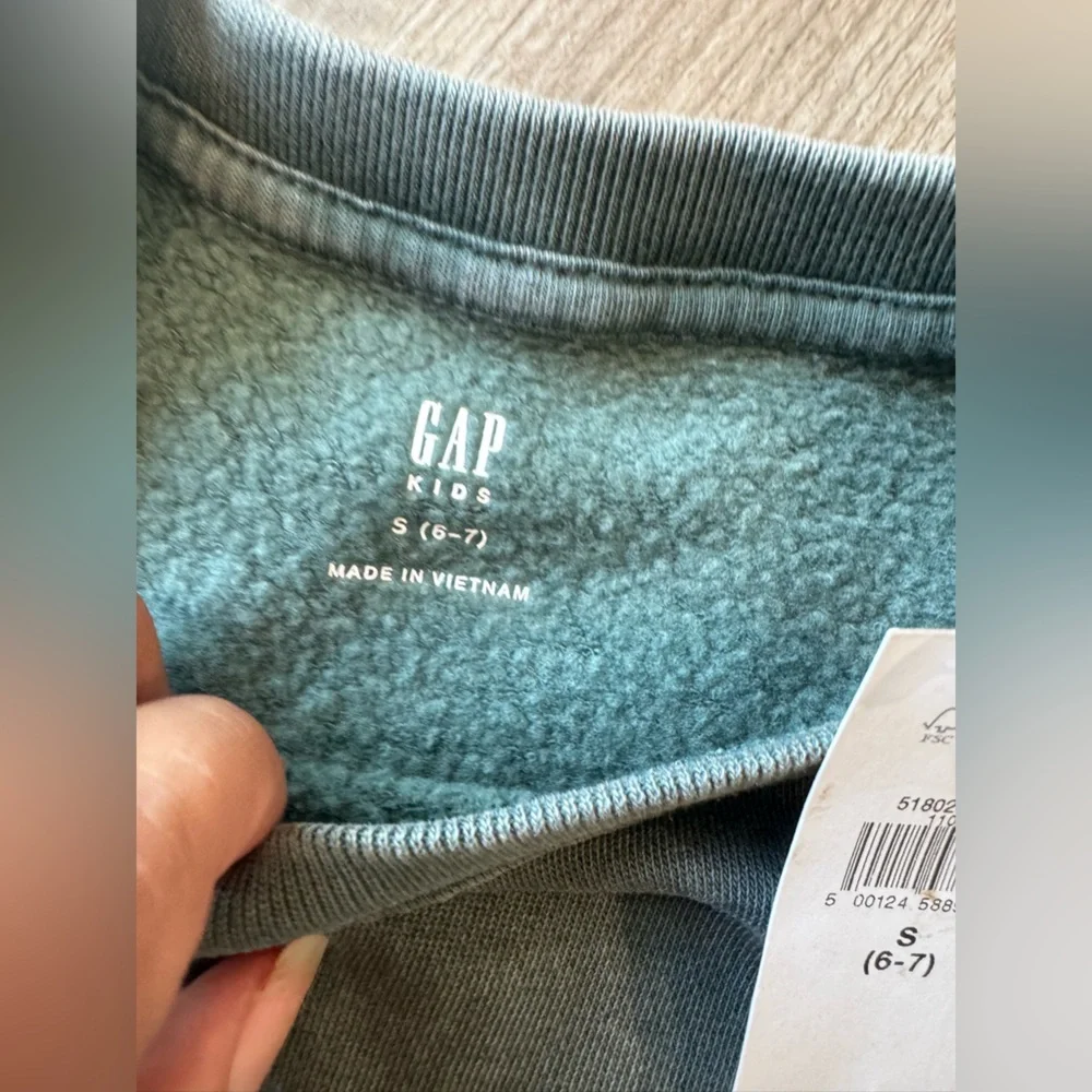 GAP Crewneck Sweater in Teal